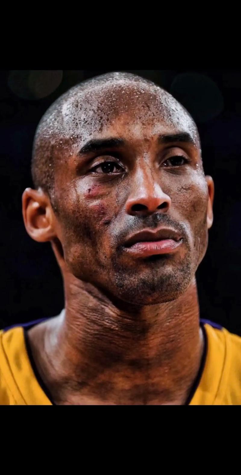 福克斯：我们想成为争冠球队，会全力争胜确保排名西部前四（福克斯：志在争冠，全力争胜确保西部前四席位）