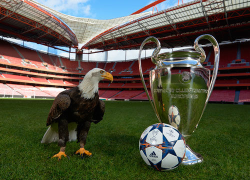 博主：山东足球青训中心落户济南起步区，进入实质性推进阶段（博主称山东足球青训中心落地济南起步区，项目已进入实质推进阶段）